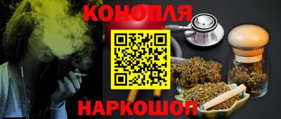 гидра Будённовск