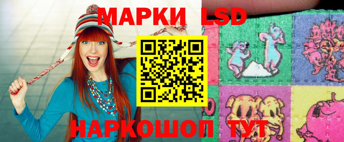 Гашиш Хасавюрт