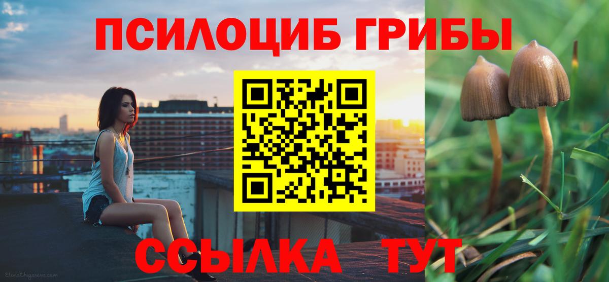 Хасавюрт  Галлюциногенные грибы ЛСД  Вход с VPN  Галлюциногенные грибы Psilocybine cubensis 
